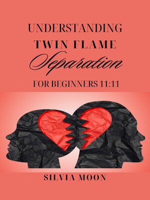 cover image of UNDERSTANDING TWIN FLAME SEPARATION